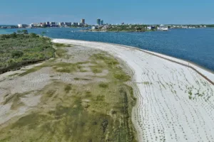 Robinson Island on a beach day