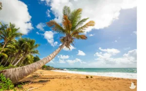 Summer day on the beach in Fajardo, Puerto Rico.