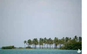 Blue ocean in Islamorada, Florida.