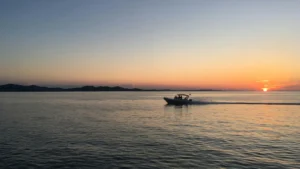 Beautiful sunset on a summer evening