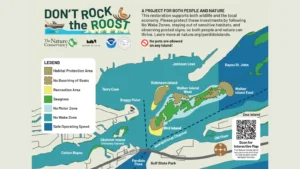 Don't rock the roost map
