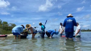 TNC team working in the field