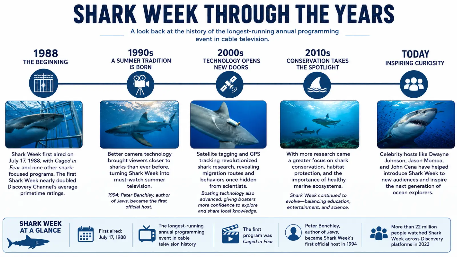 Graphic about shark week