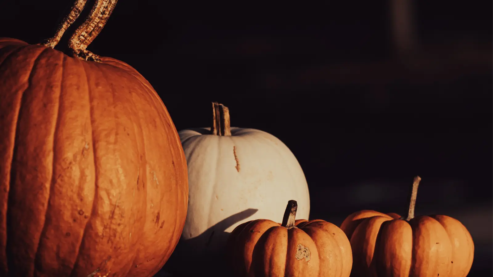 Halloween pumpkins