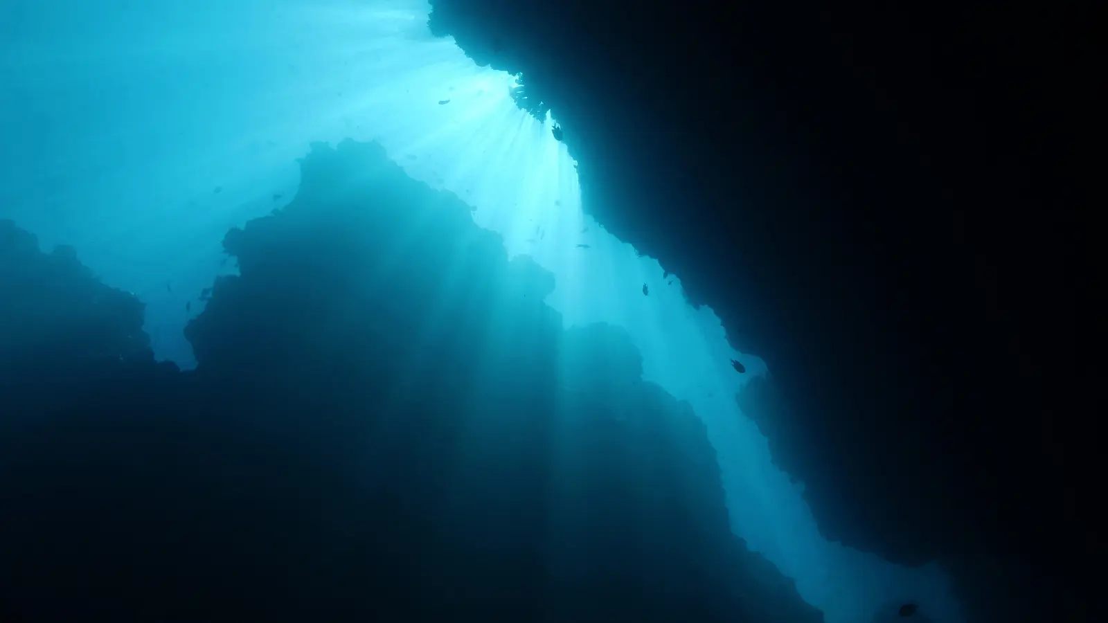 the ocean and the vastness